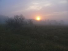 Ранковий туман. / Херсонська обл.