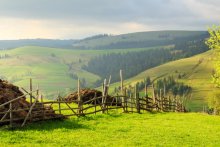 сельское утро / карпатский сельский пейзаж с изгородью