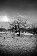 drift / 18-55 + широкоугольный конвертер