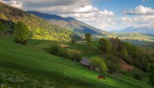 карпатский пейзаж с красным конем:) / Сельский пейзаж с маленькой фермой и пасущейся лошадью в Карпатских горах весенним облачным вечером