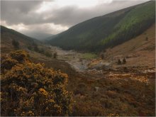 ...Wicklow Gap... / ***