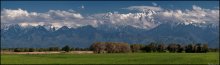 летняя панорама Заилийского Алатау / ----------