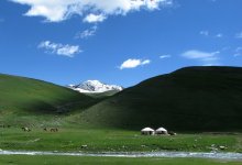 Лето в Суусамырской долине / Суусамырская долина, Киргизия