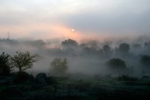 Утро долины Протыч. / Когда утро соединяет туман с солнцем.