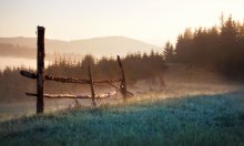 В Утренней Росе... / Закарпатская область, район с. Пилипец