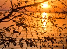 Закат / Вилейкое водохранилище