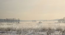 Оттепель / Беларусь, недалеко от Минска, февраль 2013