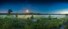 Восход луны / Панорама, 7 кадров и куча комаров