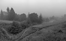 Карпатская деревушка. Туманный рассвет... / Предрассветное время,  влажный туман, звенящая тишина..

 [img]http://i.photographers.com.ua/thumbnails/pictures/26188/800x_5-6-1w.jpg [/img]