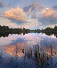 Купались облака... / ...да вот застряли под сенью камышей в вечерней тишине.