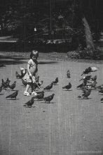 малыш и голуби / ................