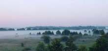 туман / утренний туман