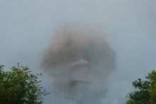 Привидение &quot;Gipanisa&quot;. / Туман над рекой, делает окружающий мир волшебным и загадочным.