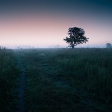 the road to eternity / раннее утро. панорама из двух горизонтальных кадров