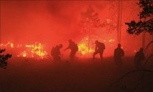 Работаем с огоньком! / Тушение лесного пожара в Лоухском районе Карелии.