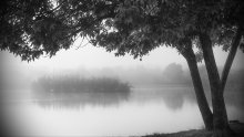 Около озера / Туманным утром