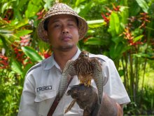 Повелитель птиц / Индонезия. Бали. Парк птиц.