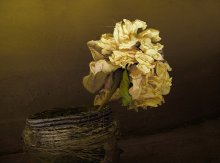 Старый цветок / засыхает понемногу, не поливают