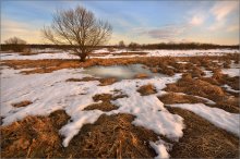 Весенний мотив. / Весений вечер. Март.