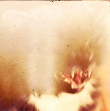 Bastet / Психоделика
