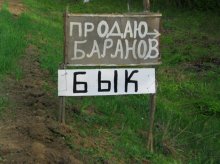 Ушёл в торговлю. / А сколько ж вас уговаривать: "Помогите отечественному производителю, помогите..."?