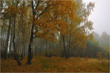 Осенний день / В этот день туман держался почти до обеда