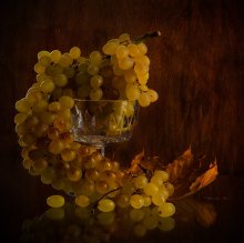 Осень. Виноград. / виноград,осенний лист.