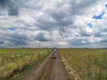 К  горизонту / Прогулка  за городом