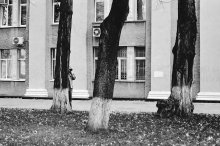 "Шпион" / *************