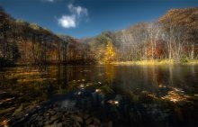 Moris Isl (Transparent Autumn) / Moris Isl (Transparent Autumn)