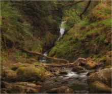 ...Glendalough Creeks... / ***