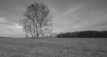  / природа