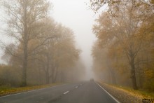 Дорога в Изборск / Утро. Дорога. Туман. Истинная осень.