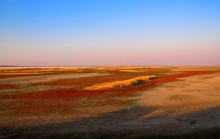 Краски Гнилого моря / Сивашский залив