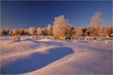 Снежная целина / В январе, морозным утром