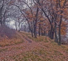 Как часто снится мне сон... / ***