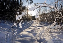 Арка в зиму / декабрь 2012 года, фотография сделана во время прогулки на лыжах по лесу... Снято на зеркалку Nikon D90... Надеюсь, что и уходящий 2013 год тоже порадует снежком и красивыми зимними видами... Всем приятного просмотра!