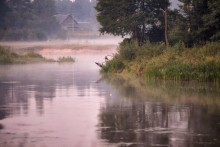 Летнее Утро / что-то вспомнилось