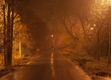 Осенний вечер... / эта туманная осень....свет фонарей....и тишина...