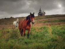 карельские зарисовки / *****************