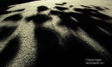 МАМА С ДОЧКОЙ В МИРЕ ТЕНЕЙ / сентябрь 2011 года, причудливая игра света и тени от листвы дерева и светящего фонаря... В этой игре теней Я увидел женщину с ребенком ( у ребенка шарики в руках)... А ЧТО ВИДИТЕ ВЫ? Снято на мыльницу Canon Powershot sx 210 is