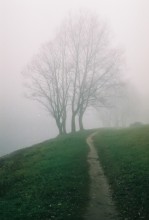 &nbsp; / Fog and Silence