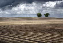 Spring / Plowed spring fields  north of Troyes (Burgundy / France)