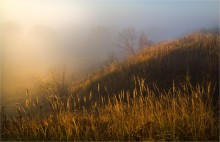 Солнечная пелена. / Осень....
Утро, рассвет, солнце стреляет своими первыми лучами...
И вот я, стаю один на один с собой, получая колоссальные удовольствие от происходящего передо мной.
Передо мной рождается новый день!