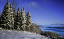 Первые снежные деньки / Первые завалы снега в Голубино