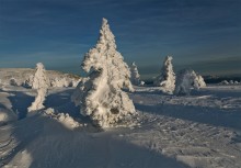 Зимние одежды / ----