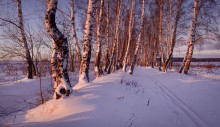 Зимний вечер в Подмосковье / (10.12.13....16:31)