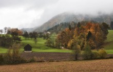 Сарай / Красота