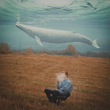 whale / 550d + 50mm + photoshop