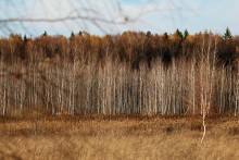 передовой отряд / ***